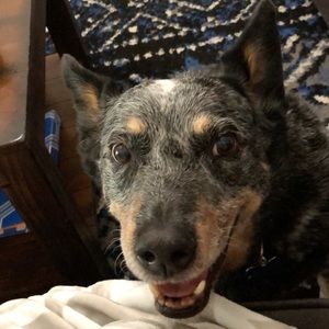 Meet your Posher, Rylee